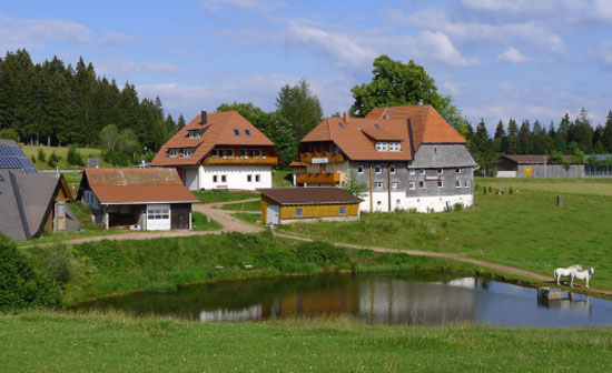 Hotel Furtwangen